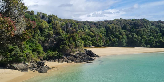 Visiting Rakiura/ Stewart Island, New Zealand
