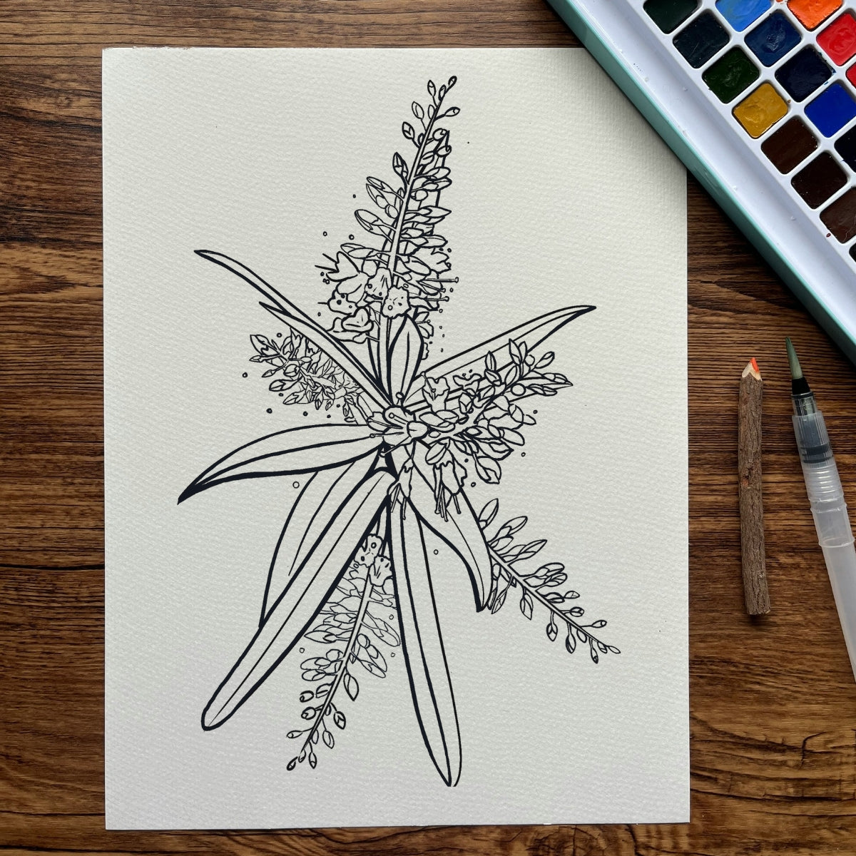 Flora Five-Pager Colouring Pack