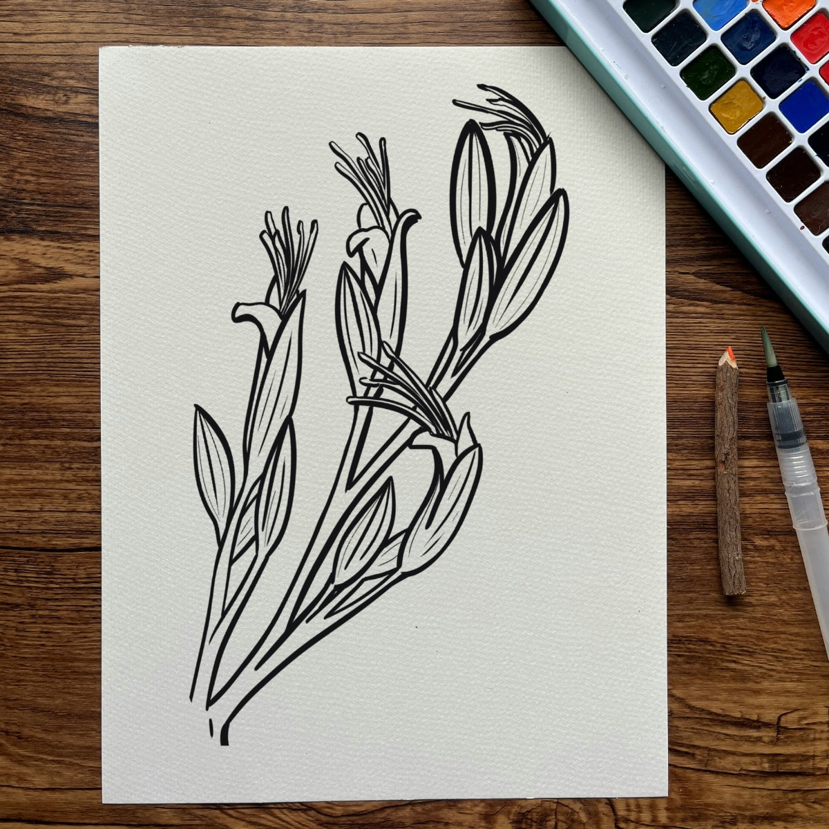Flora Five-Pager Colouring Pack
