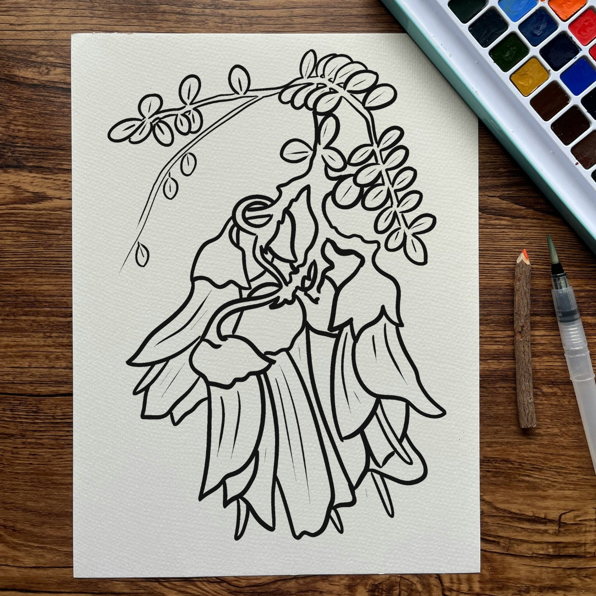 Flora Five-Pager Colouring Pack