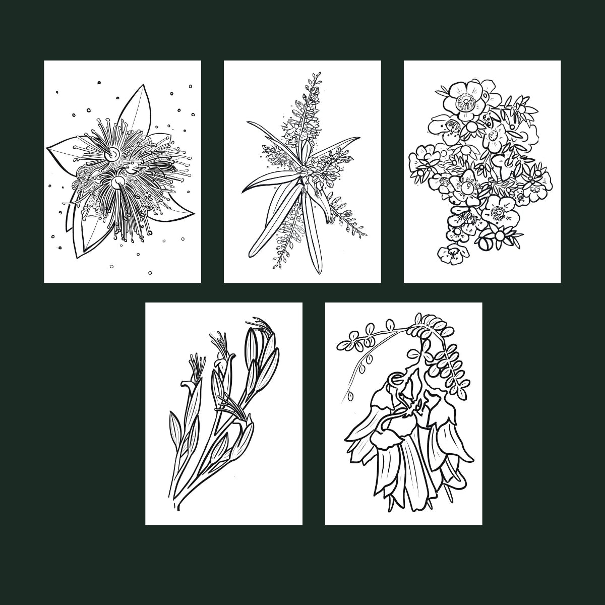 Flora Five-Pager Colouring Pack