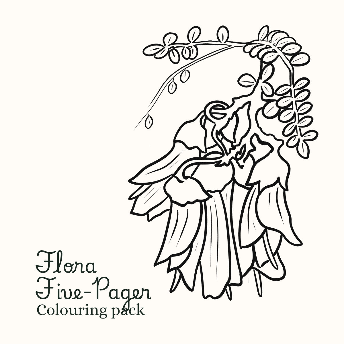 Flora Five-Pager Colouring Pack