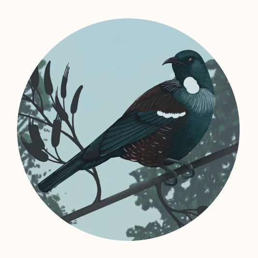 Tui Decal