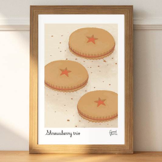 Shrewsbury Art Print