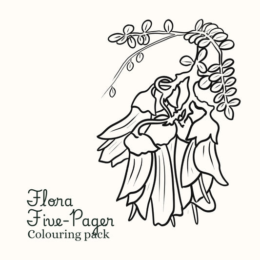 Flora Five-Pager Colouring Pack